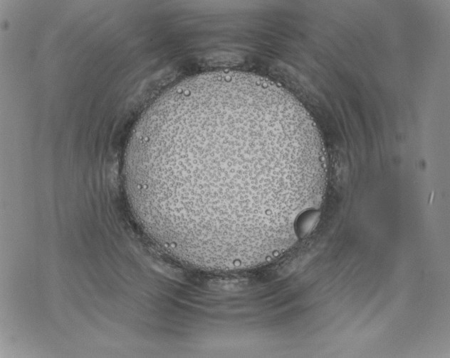 X0000074310745200609152006