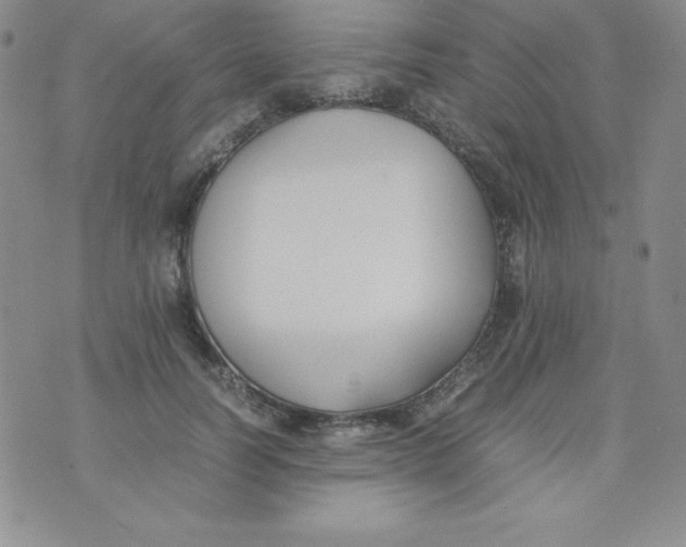 X0000074310746200609152006