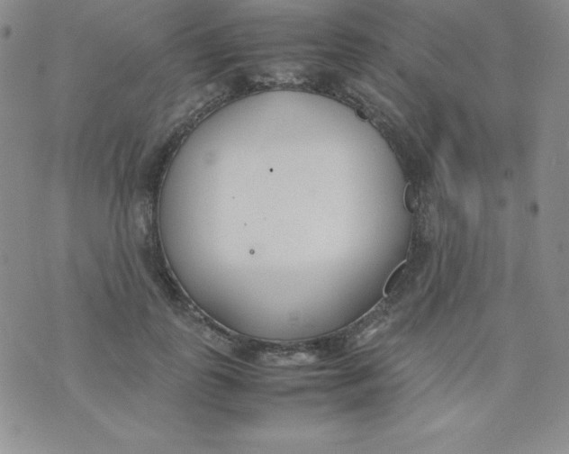 X0000074310747200609152006