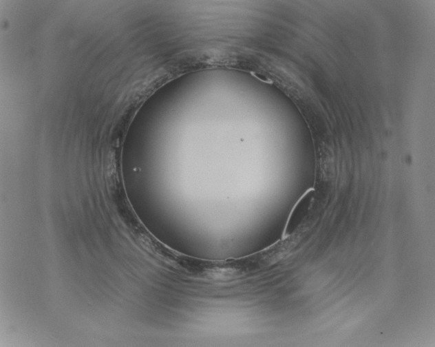 X0000074310748200609152006