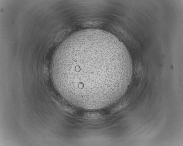 X0000074310749200609152006