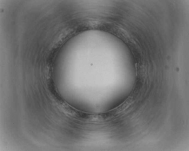 X0000074310750200609152006