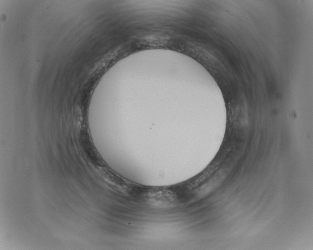 X0000074310752200609152006