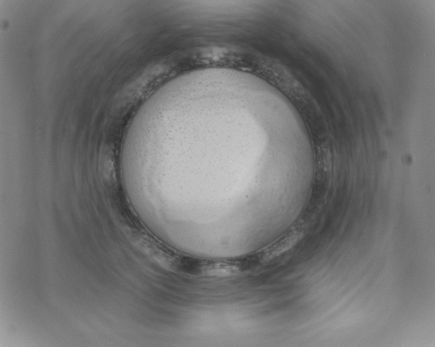 X0000074310754200609152006