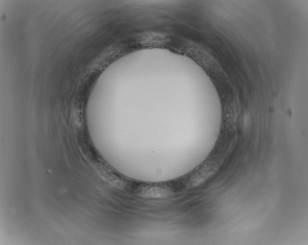 X0000074310755200609152006