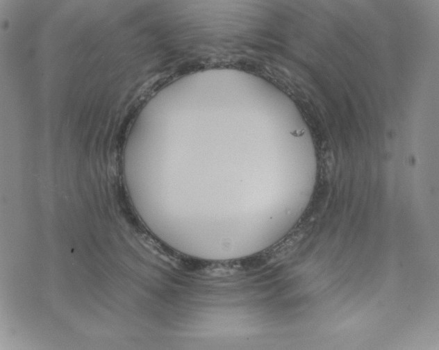 X0000074310756200609152006