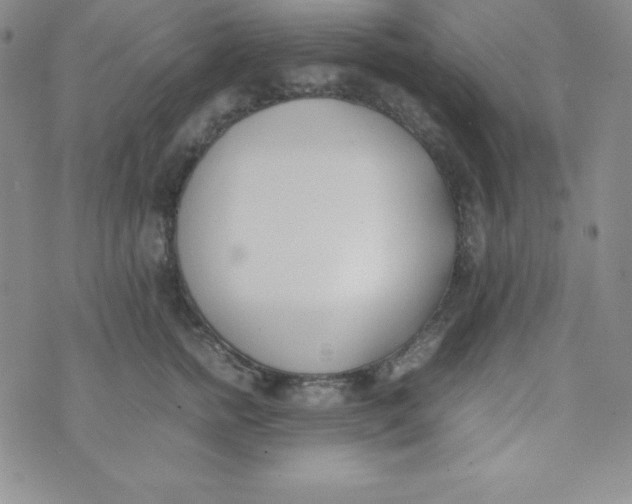 X0000074310758200609152006