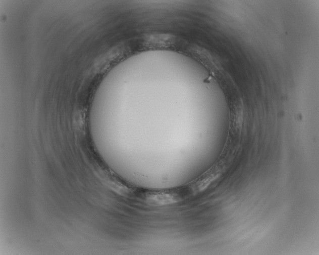 X0000074310759200609152006