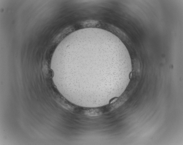 X0000074310761200609152006