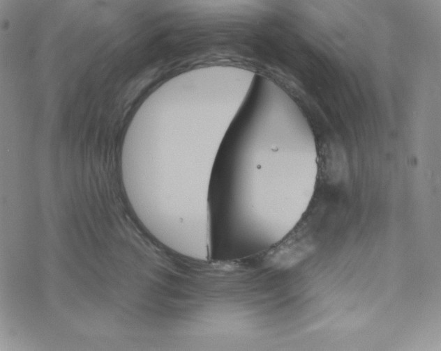 X0000074310762200609152006