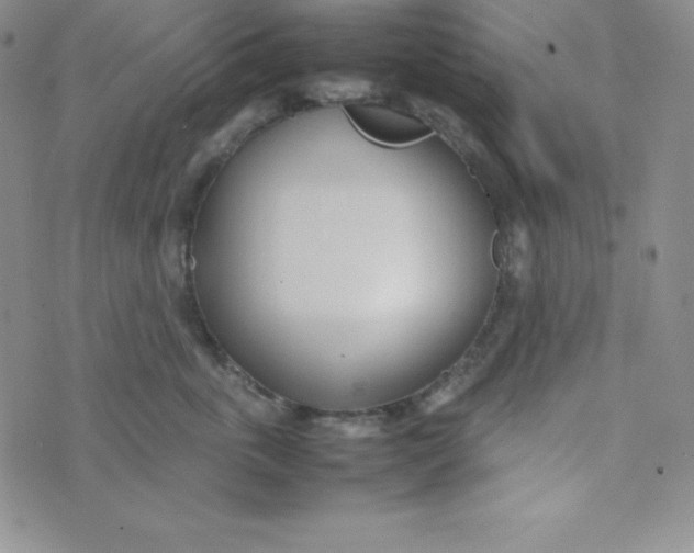 X0000074310763200609152007