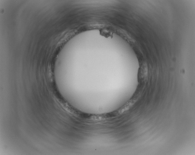 X0000074310764200609152007