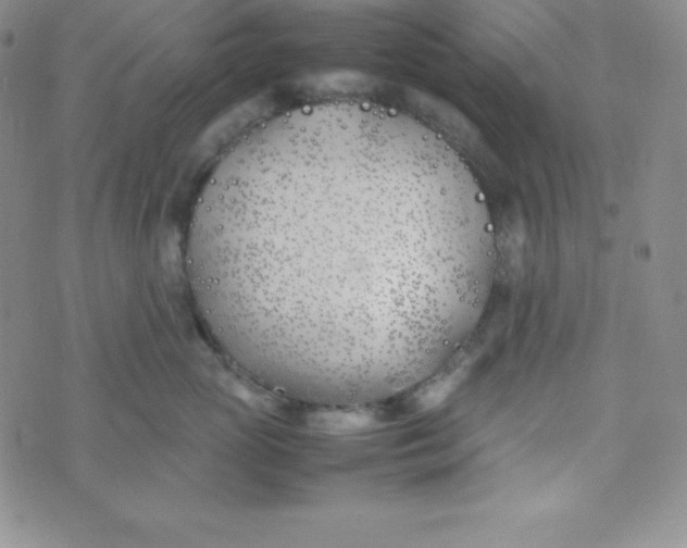 X0000074310765200609152007