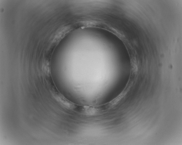 X0000074310766200609152007