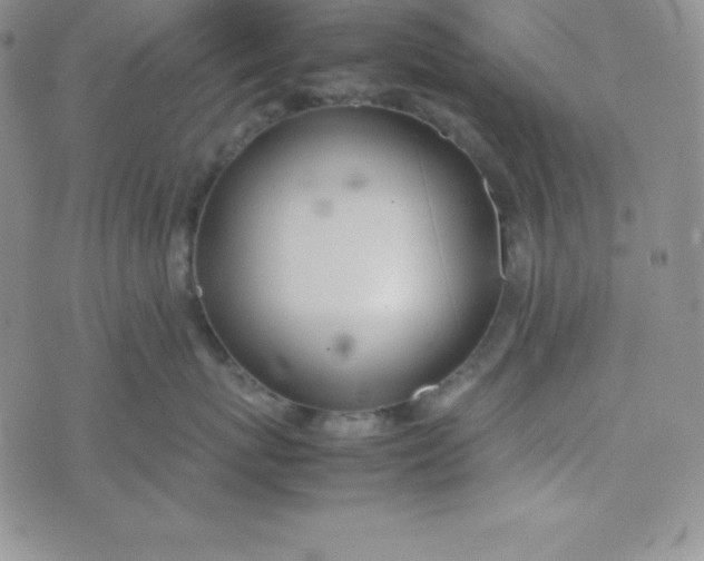 X0000074310767200609152007