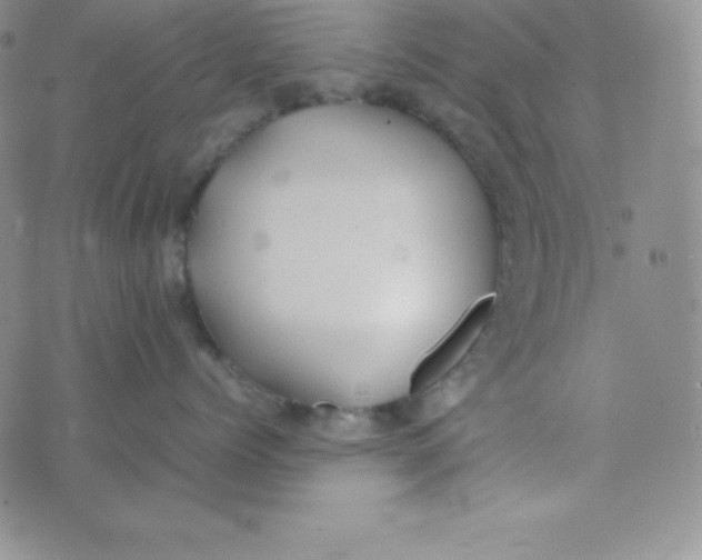 X0000074310768200609152007