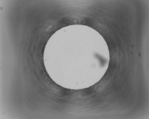 X0000074310769200609152006