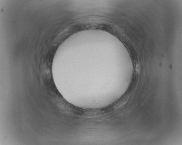 X0000074310771200609152006