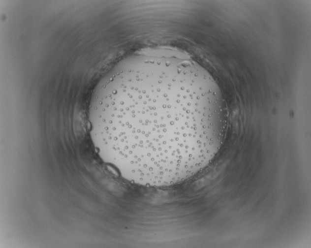 X0000074310772200609152006