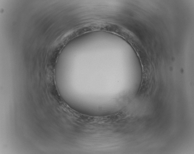 X0000074310773200609152006