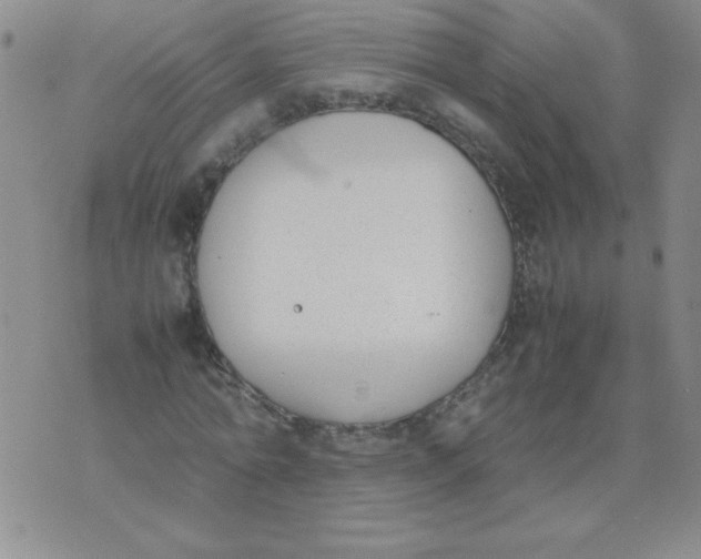 X0000074310774200609152006