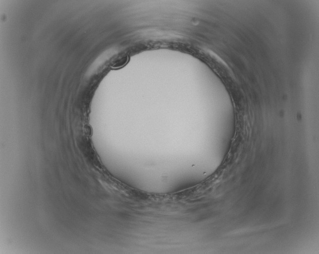 X0000074310775200609152006