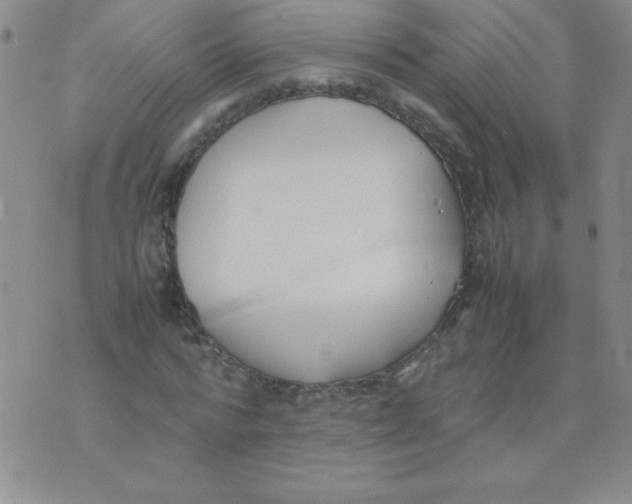 X0000074310776200609152006