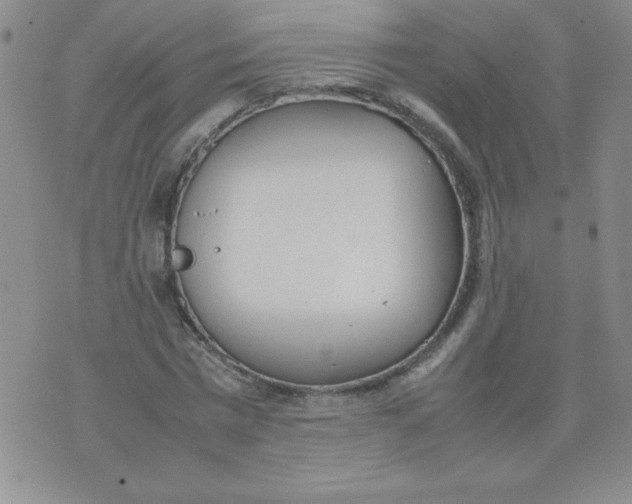 X0000074310777200609152006