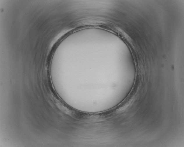 X0000074310779200609152006