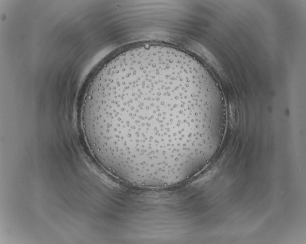 X0000074310780200609152006