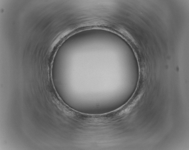 X0000074310781200609152006