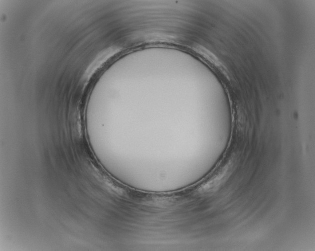 X0000074310782200609152006