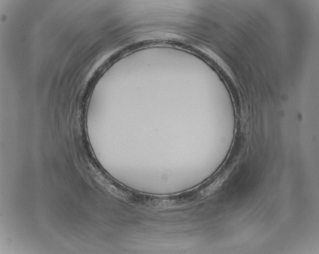 X0000074310783200609152006