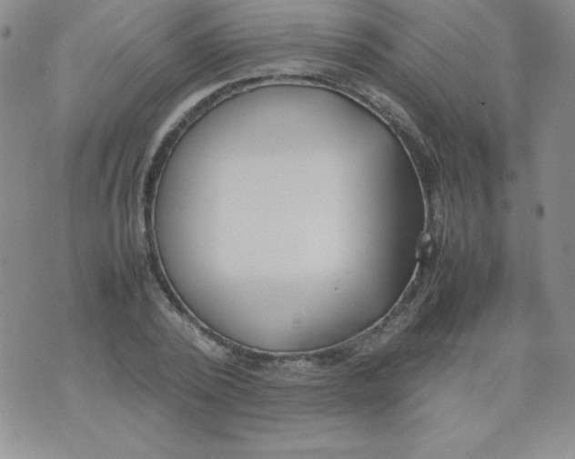 X0000074310784200609152006