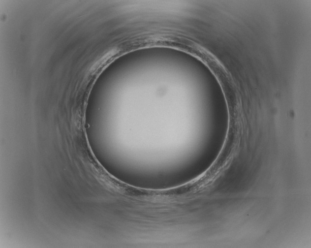 X0000074310785200609152006