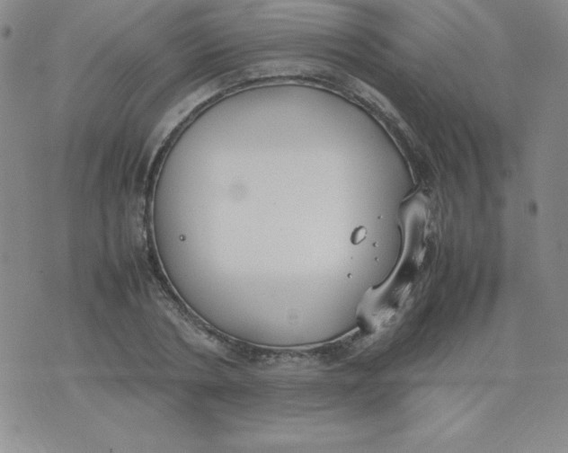 X0000074310786200609152006