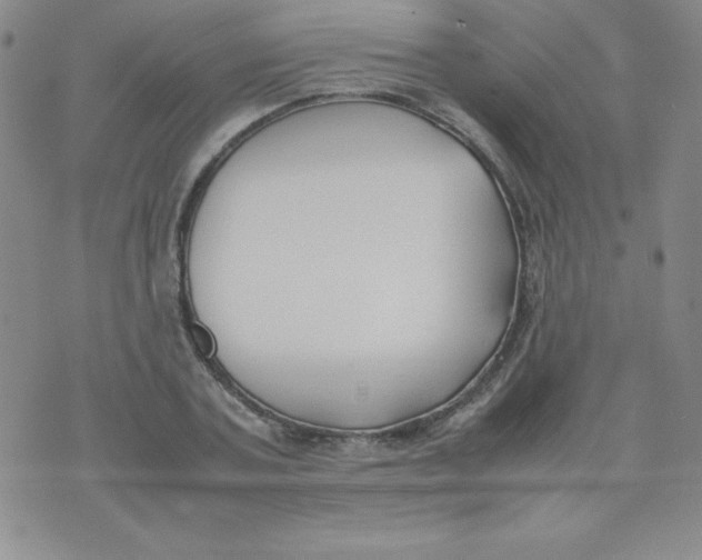 X0000074310787200609152006