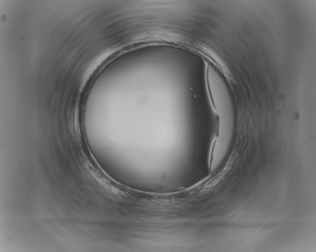 X0000074310788200609152006