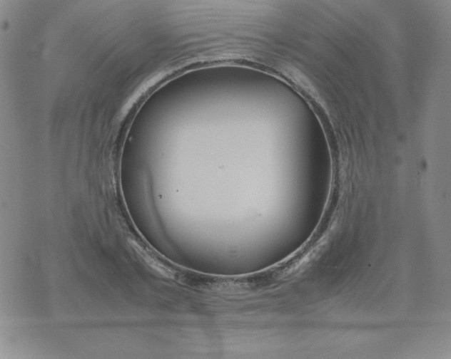 X0000074310789200609152005