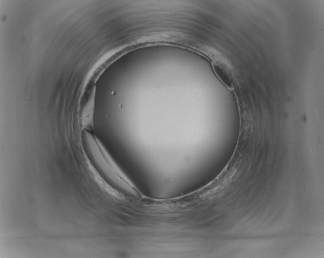 X0000074310792200609152005