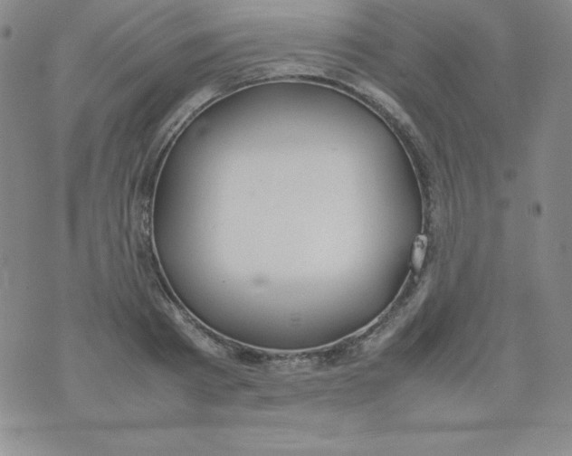 X0000074310793200609152005