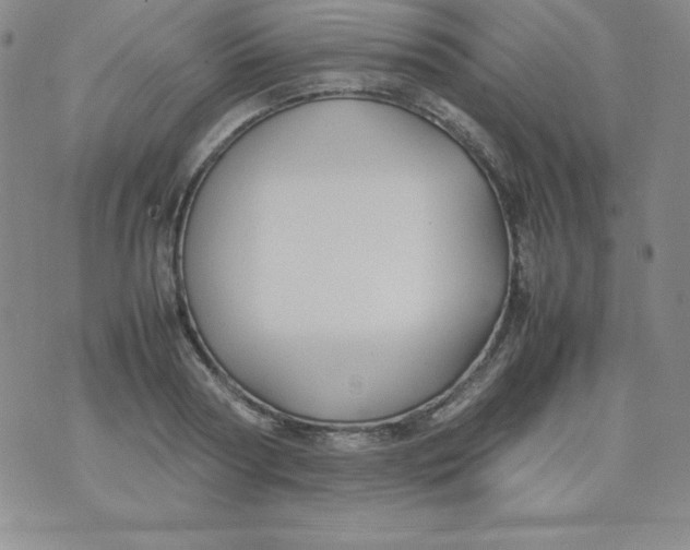 X0000074310794200609152005