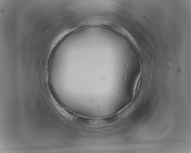 X0000074310795200609152005