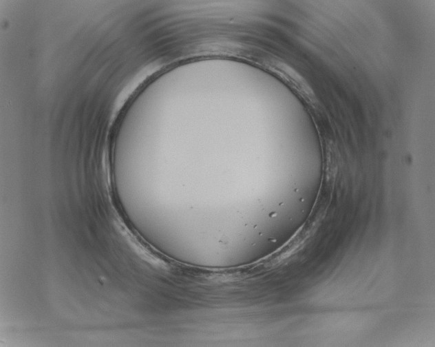 X0000074310796200609152005