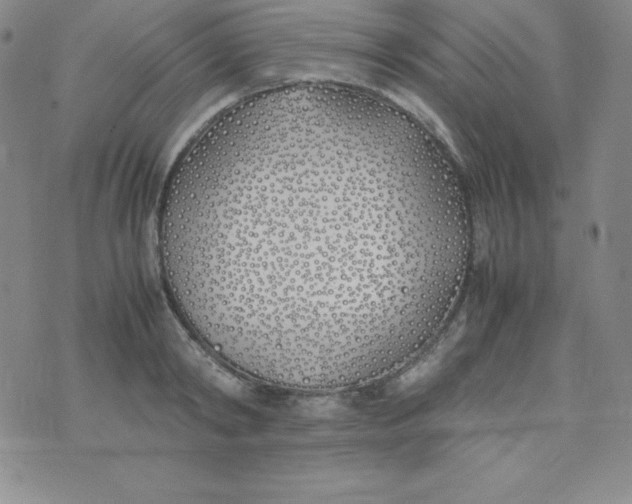 X0000074310798200609152005