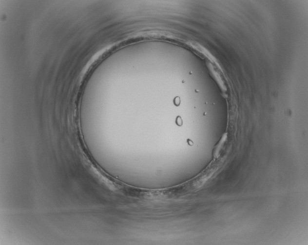 X0000074310799200609152005