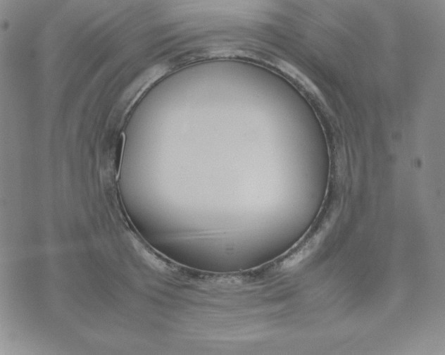 X0000074310801200609152005