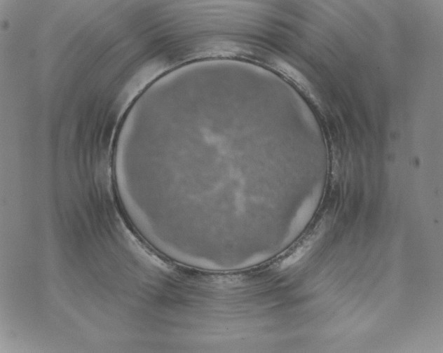 X0000074310802200609152005