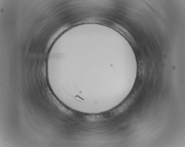 X0000074310804200609152005