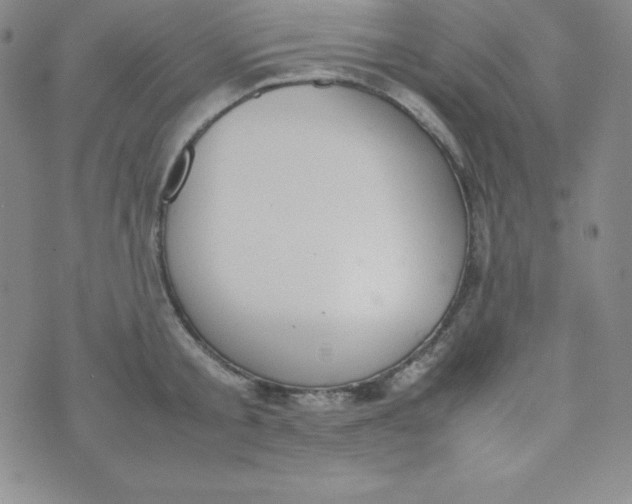 X0000074310805200609152005